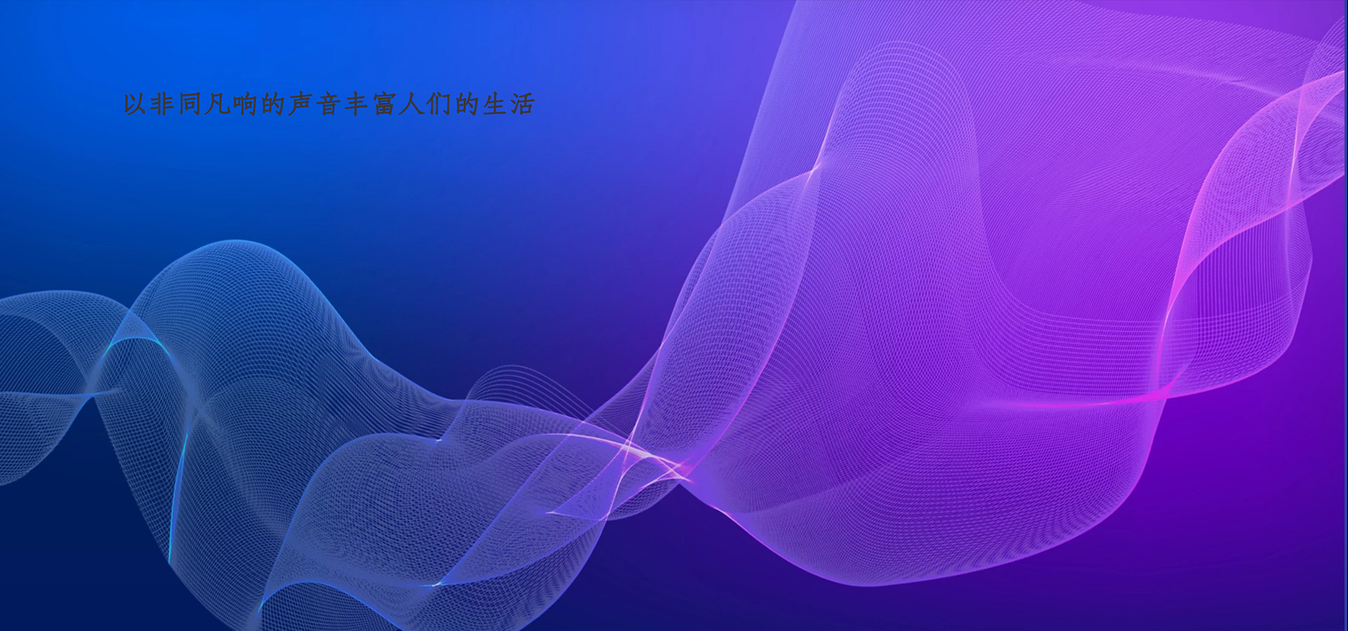 廈門(mén)東聲電子有限公司